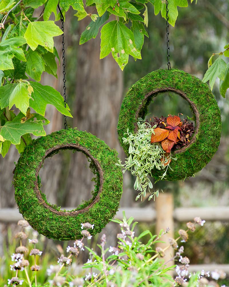 Sunrise Wicker Rim Fly-Through Bird Feeder