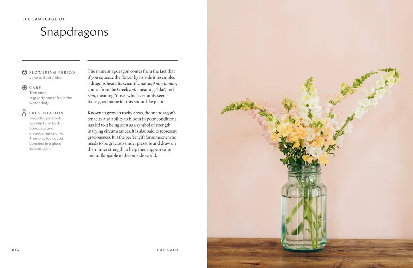 Healing Power of Flowers by Claire Bowen