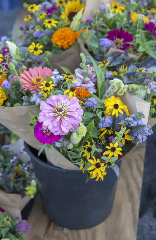 Summer Flower Subscription – One Month - Delivery or Pickup