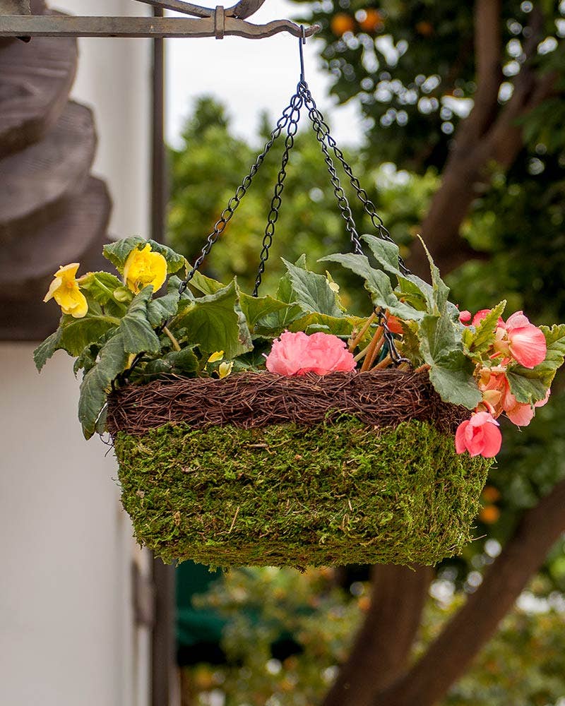 MossWeave Square Hanging Basket, Wicker Rim