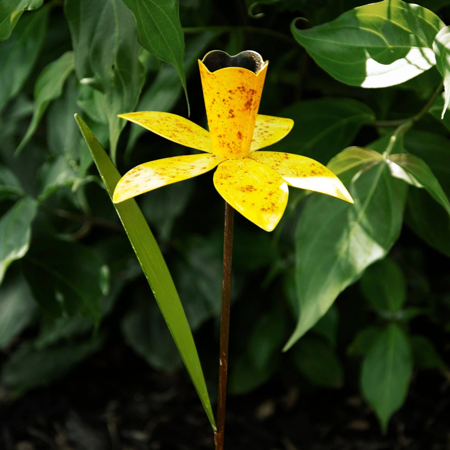 Daffodil Garden Pick