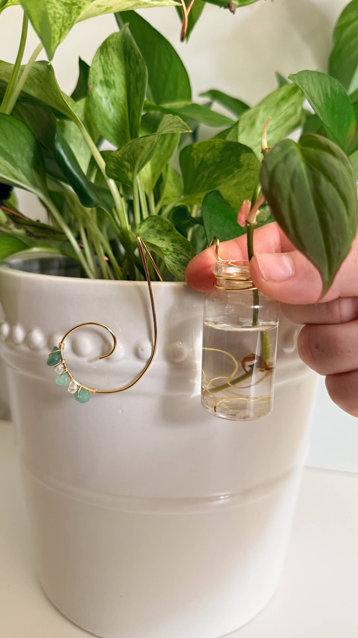 Propagation Sidecar™ Plant Propagation Station