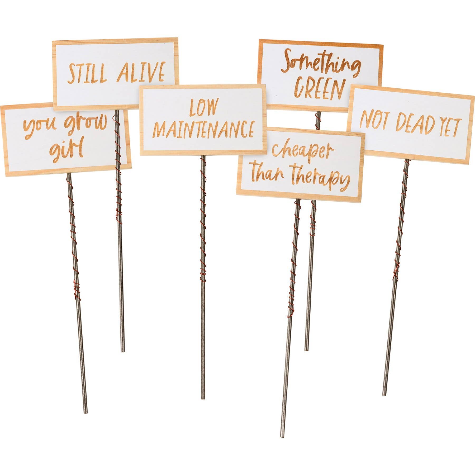 Still Alive Pick Set – Coastal Flower Co.