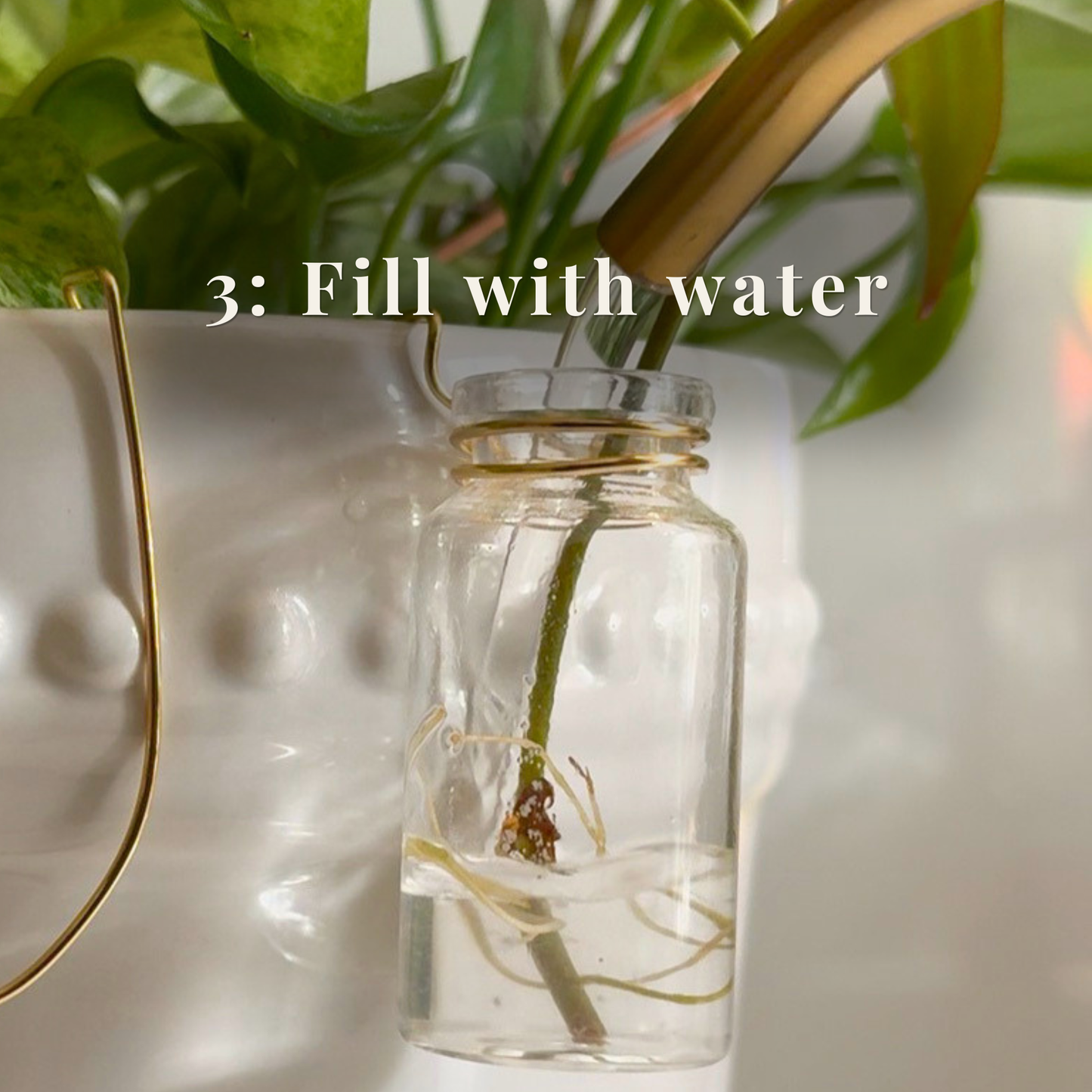 Propagation Sidecar™ Plant Propagation Station