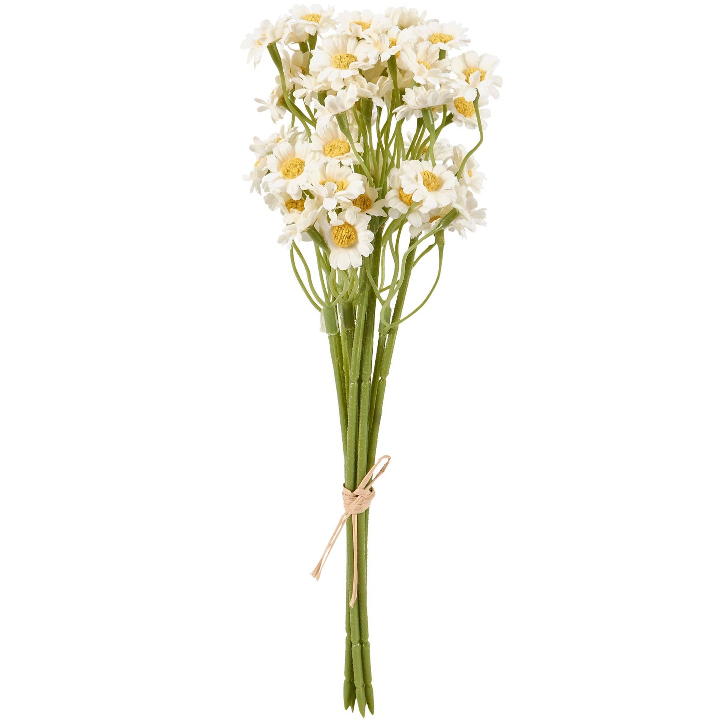 Miniature Daisies Bouquet