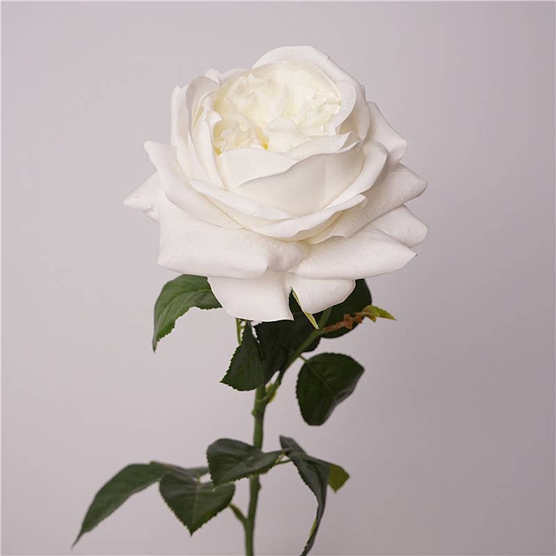 27"-Lux Faux Juliet Rose-Moisturizing Finish-5"Bloom