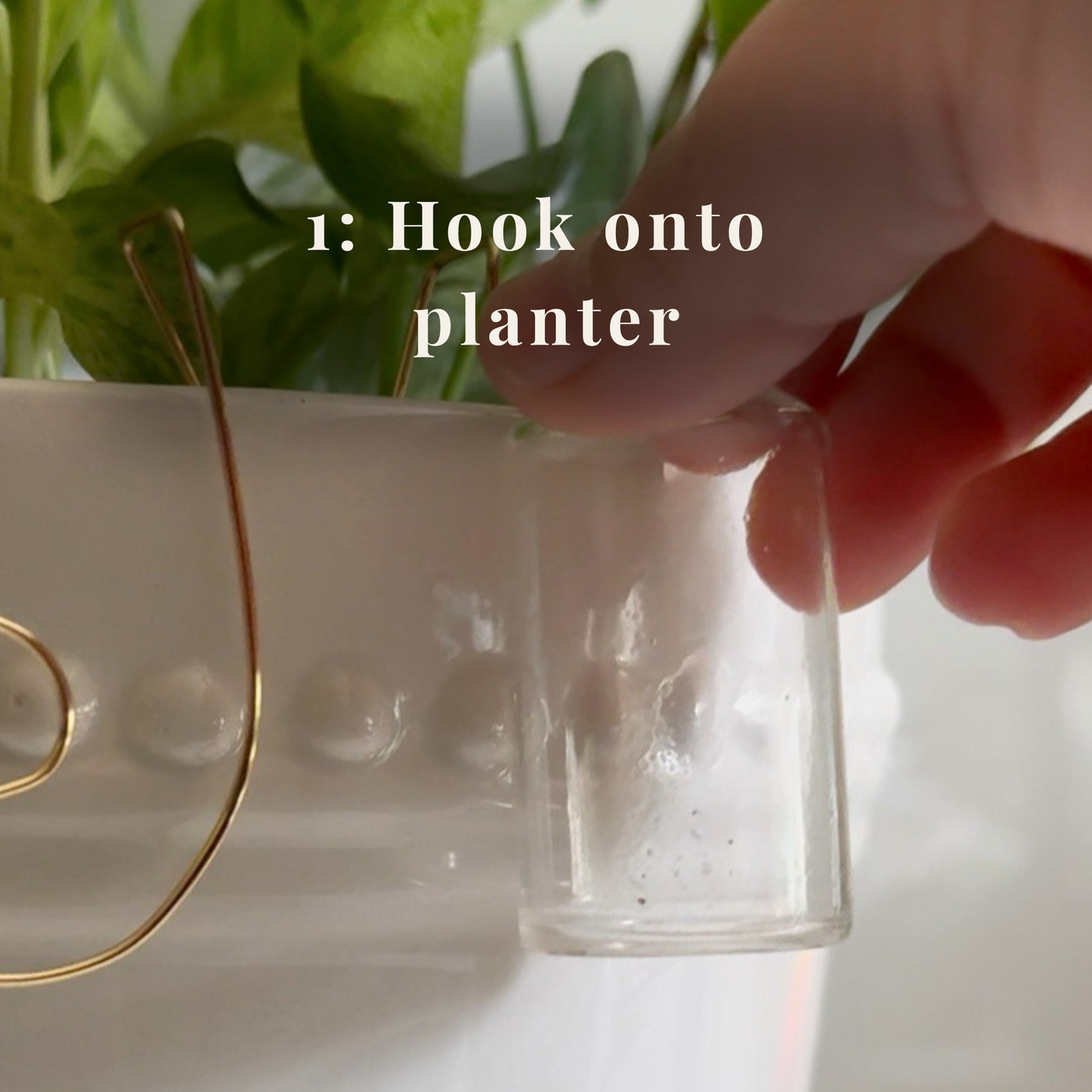 Propagation Sidecar™ Plant Propagation Station