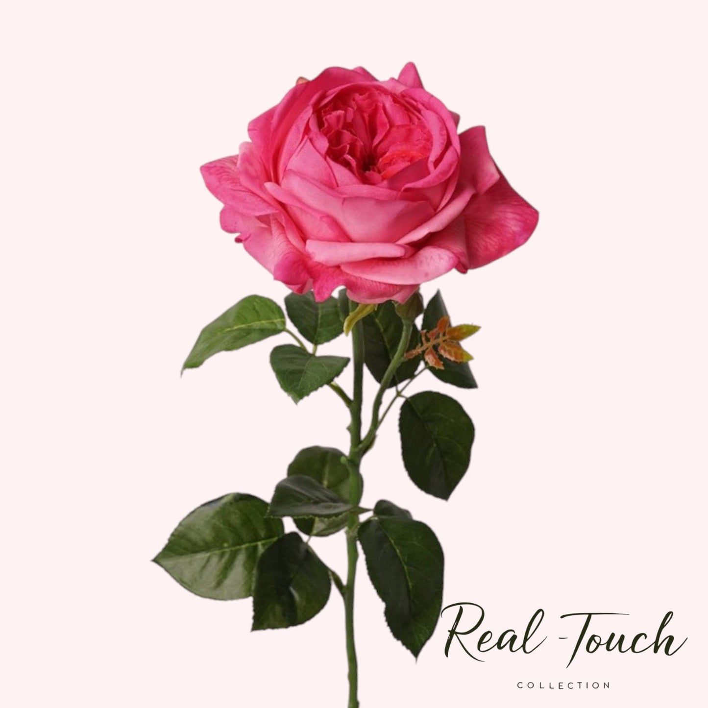 27"-Lux Faux Juliet Rose-Moisturizing Finish-5"Bloom