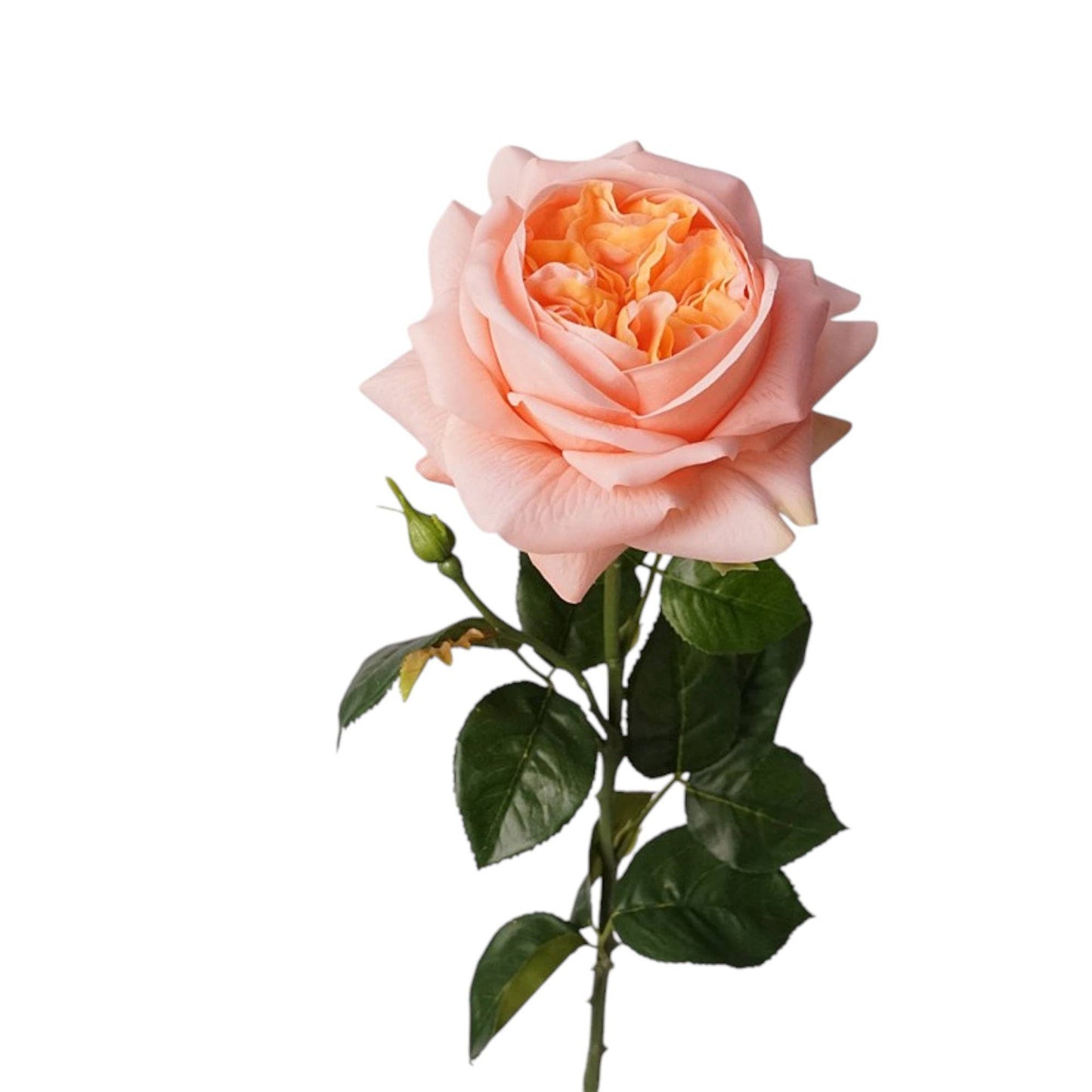 27"-Lux Faux Juliet Rose-Moisturizing Finish-5"Bloom