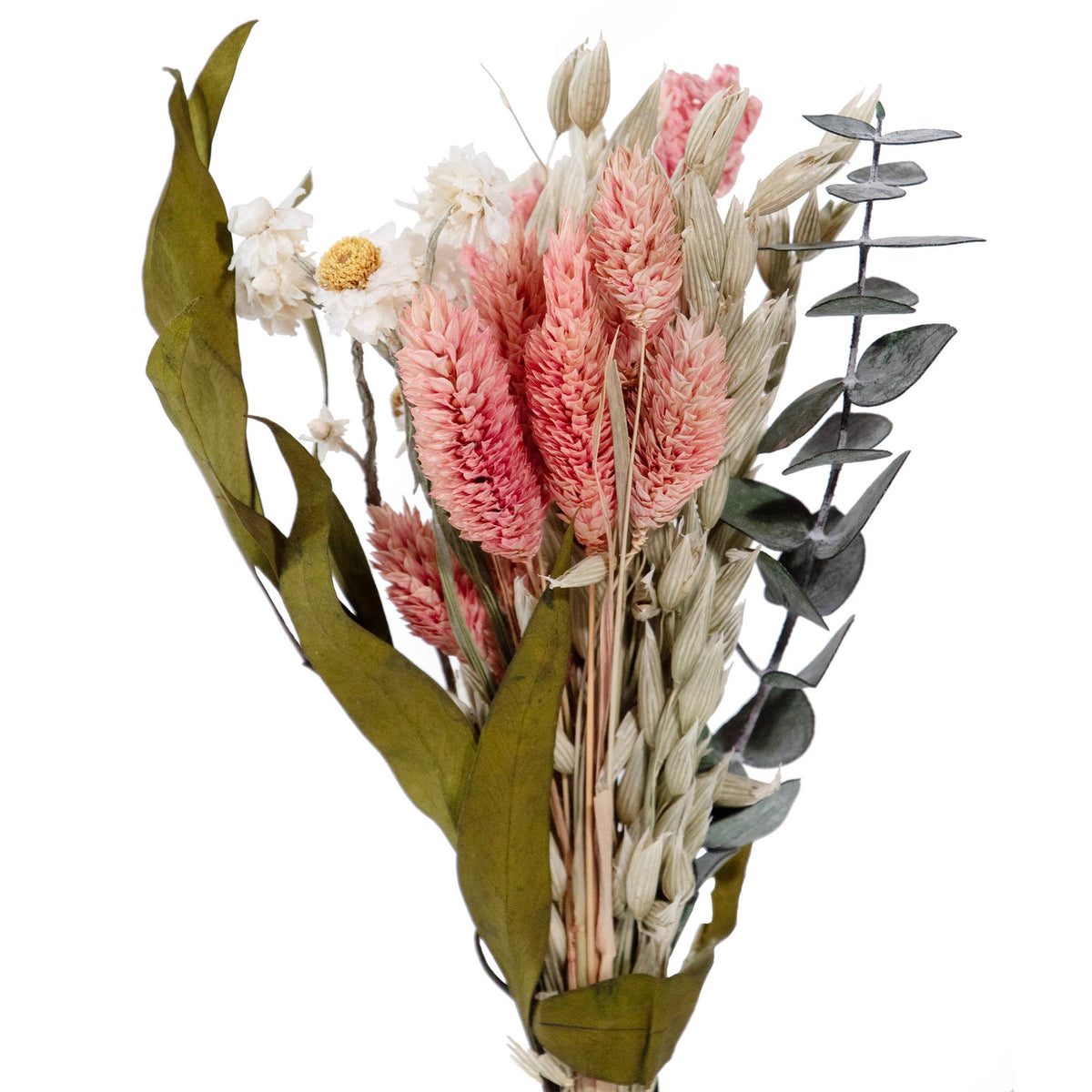 MINI Pink Larkspur & Baby Eucalyptus Bouquet Bundle #134