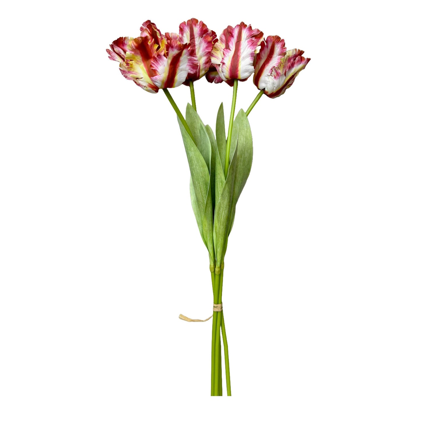 27" Artificial 3-D printed Soft Touch Parrot Tulip