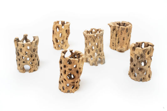Natural Cholla Wood Container - 3 Inches Tall