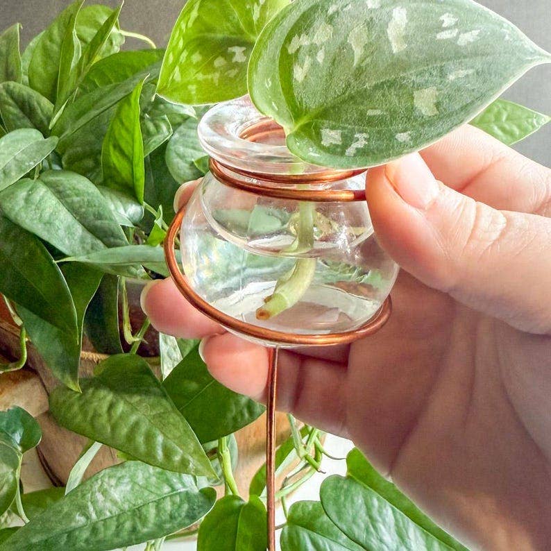 Copper Fish Bowl Propagation Stake™