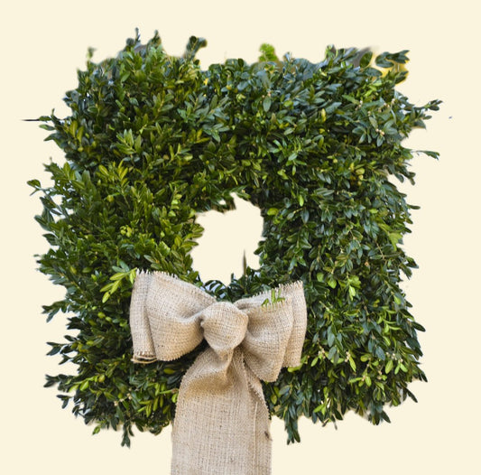REAL Boxwood Wreath - 18/22' - Pickup Only!