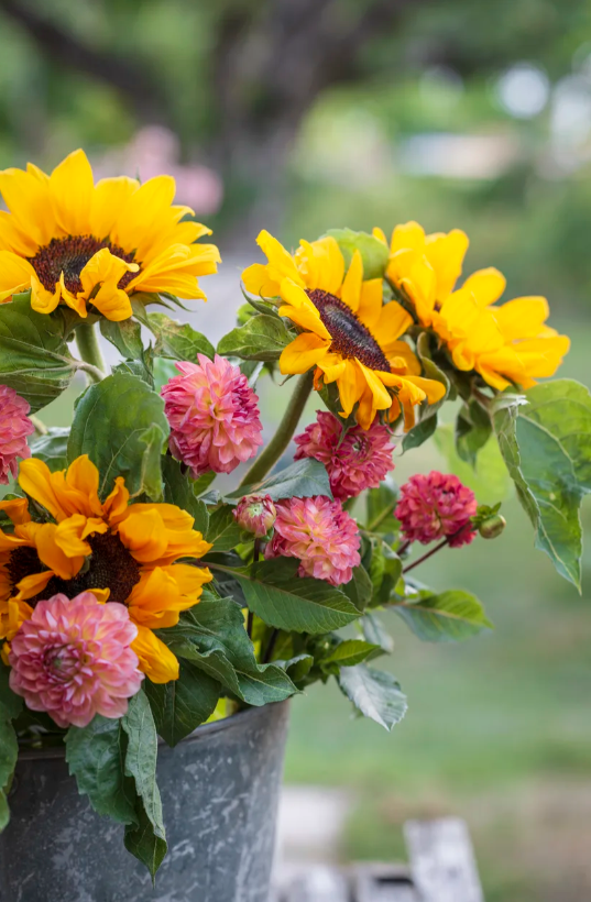 Summer Flower Subscription – One Month - Delivery or Pickup