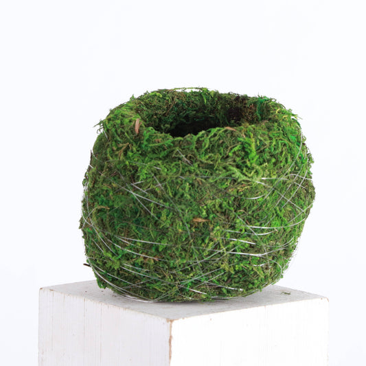 Kokedama Pot for Houseplants