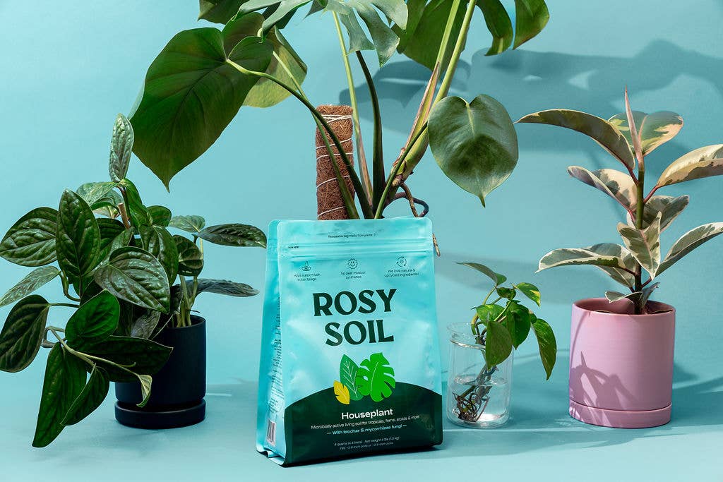 sea soil potting mix 4qt Organic potting soil mix, indoor, houseplant & herbs – Coastal Flower Co