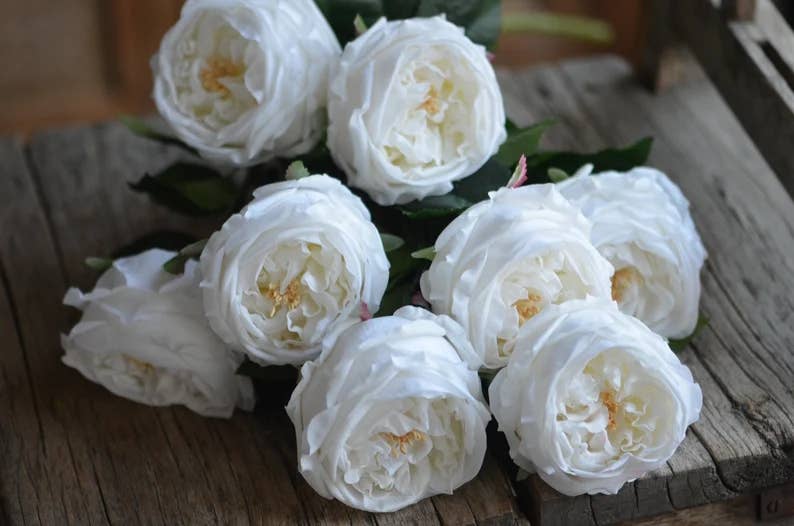 17"OR 24"Premium Real touch English Austin Cabbage Rose Stem