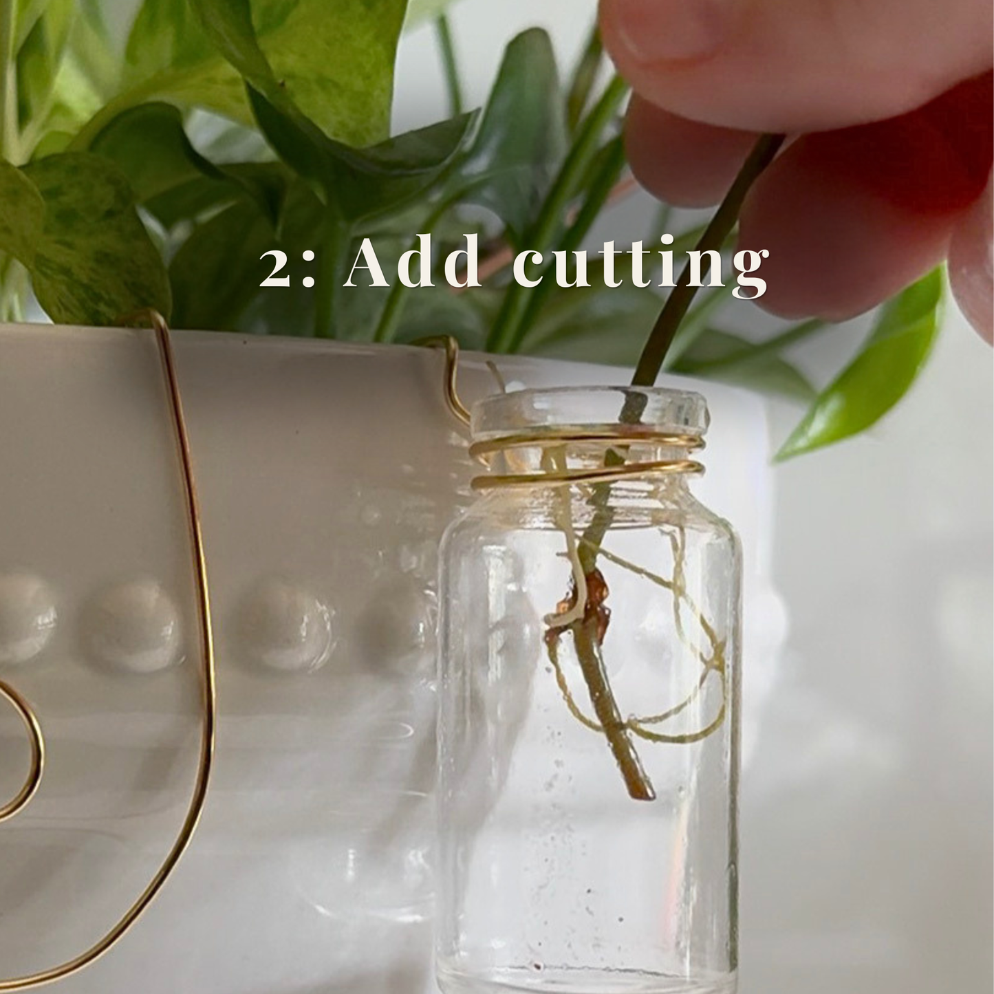 Propagation Sidecar™ Plant Propagation Station