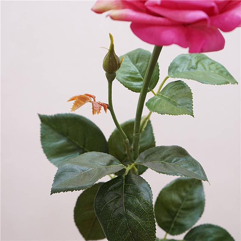 27"-Lux Faux Juliet Rose-Moisturizing Finish-5"Bloom