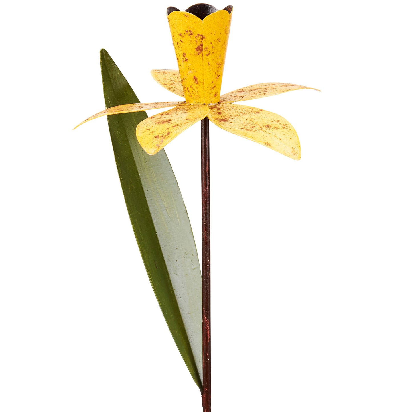 Daffodil Garden Pick