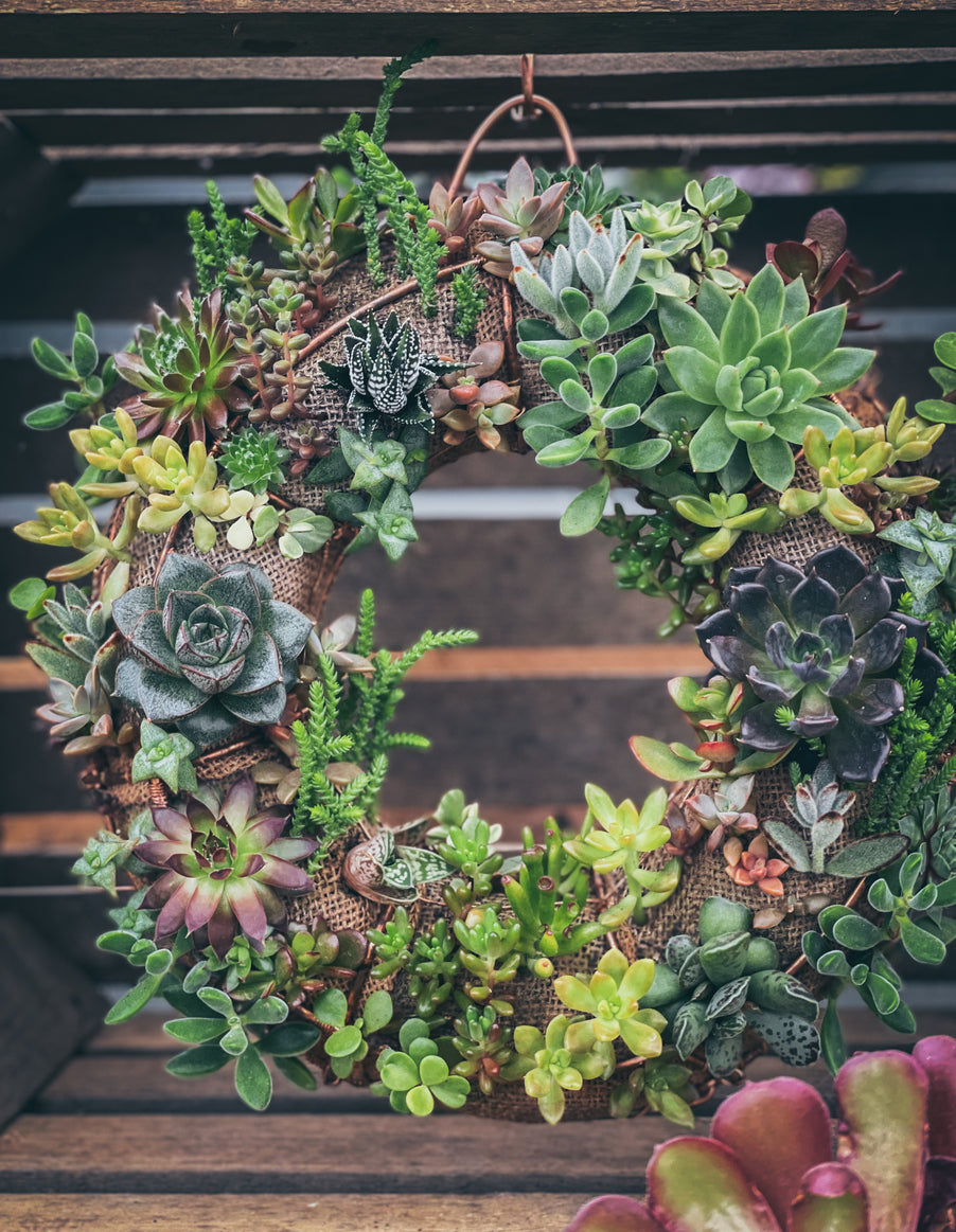 Living Wreaths Class: Designing with Nature